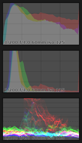 the rose histograms & waveform