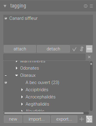 tagging module