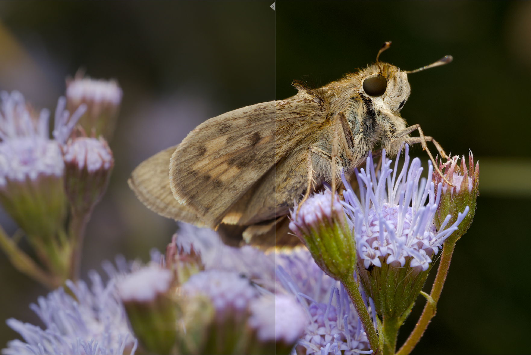 After color balance rgb