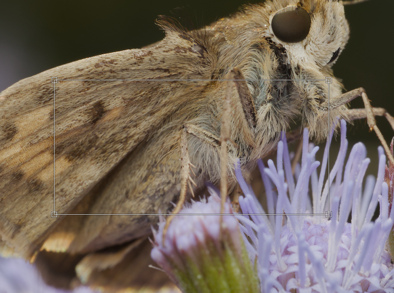 Exposure area selection