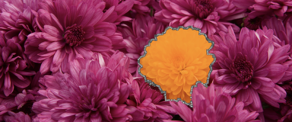 Meet the new AI tools in darktable 5.6